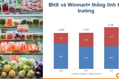 Sự thay đổi của kênh bán lẻ hiện đại tại Việt Nam trong năm 2021