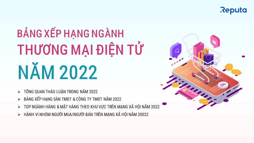  Tổng quan về Ngành Thương mại Điện tử Việt Nam Năm 2022