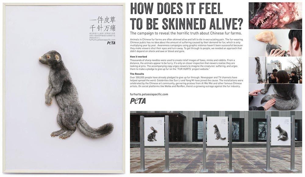  Chiến dịch "Fur Hurts": Lên án ngành công nghiệp thời trang lông thú tàn nhẫn