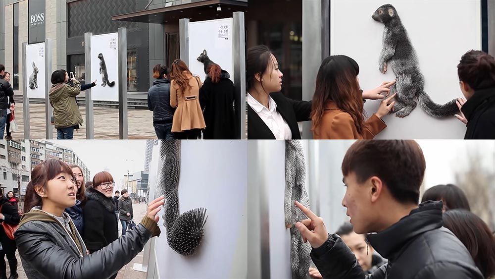  Chiến dịch "Fur Hurts": Lên án ngành công nghiệp thời trang lông thú tàn nhẫn