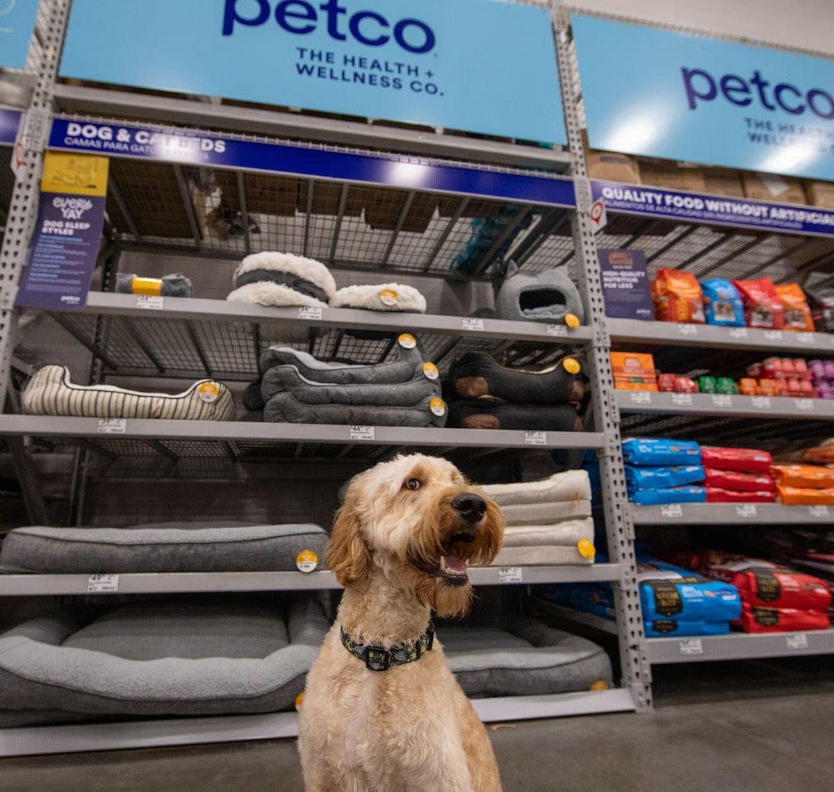  Petco: Xây dựng Hệ sinh thái Chăm sóc Thú cưng Toàn diện