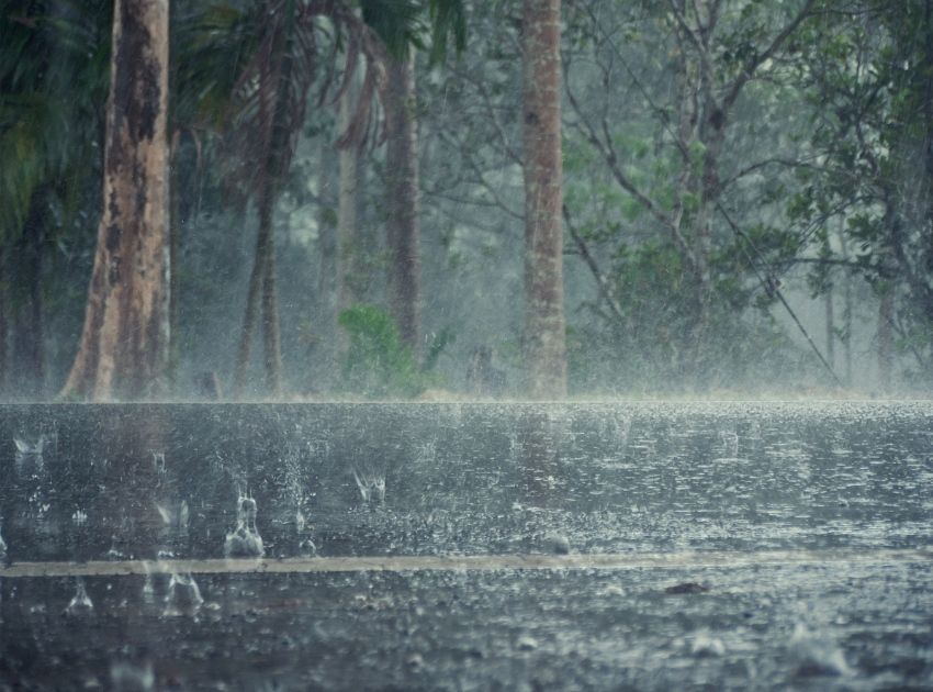  Mùi hương: Sức mạnh tiếp thị vô hình